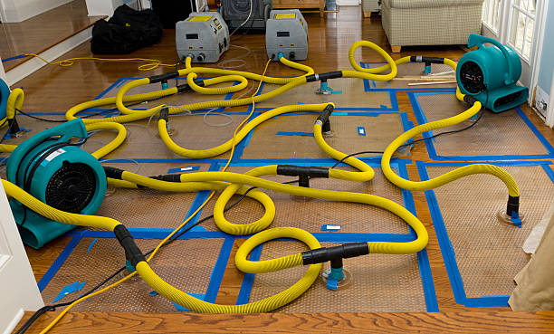 Professional Burst Pipe Water Damage technician working in Knightsen, CA